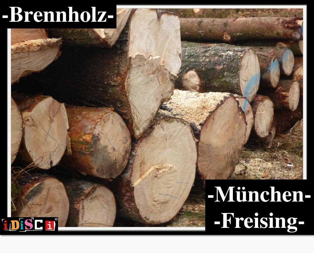 Brennholz München  -Trockenes Brennholz (JoachimKastner)